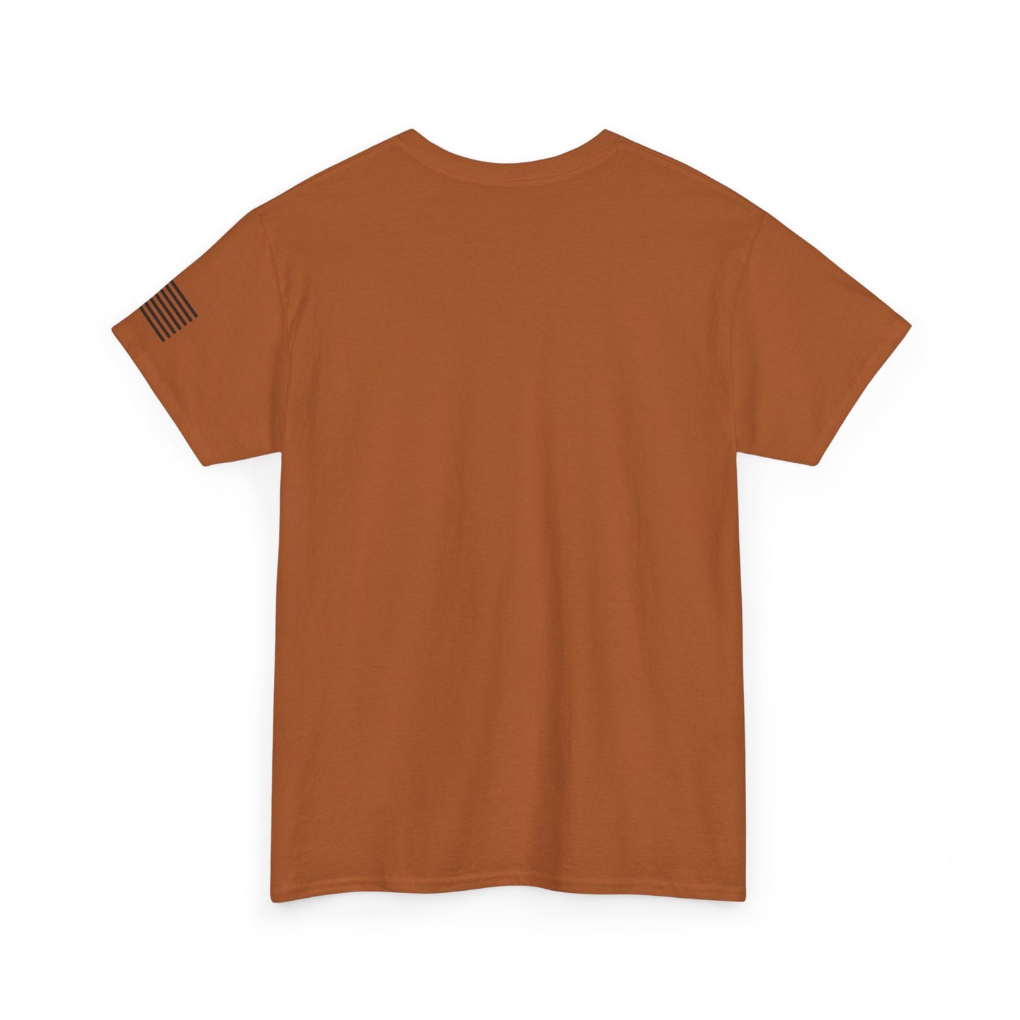 Patriotic Unisex T-Shirt - Gadsen USA Design *Blk