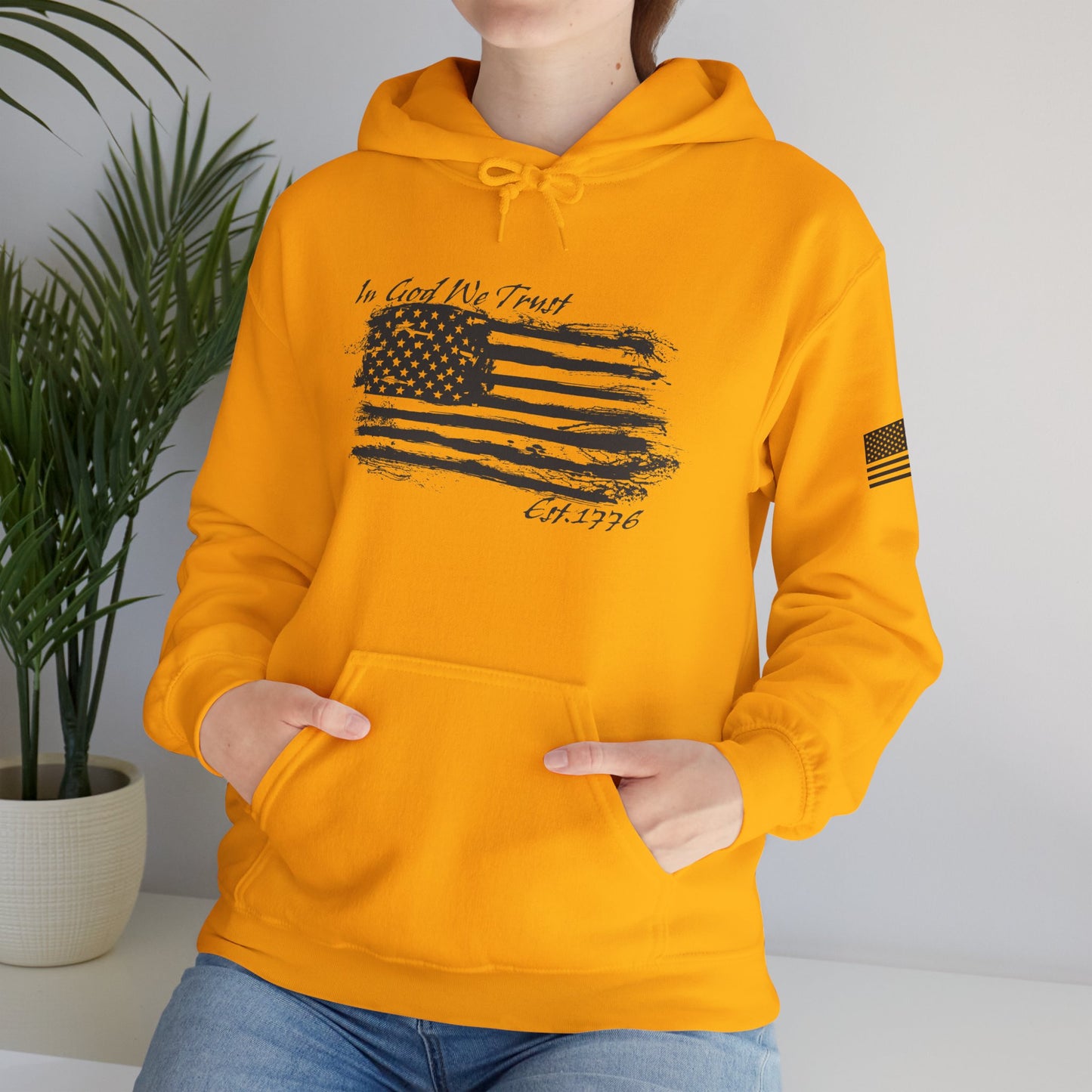 Patriotic "In God We Trust - 1776" Hooded Unisex Sweatshirt *Blk
